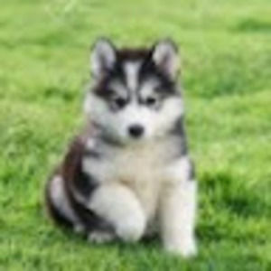 Meet your Posher, Margaret